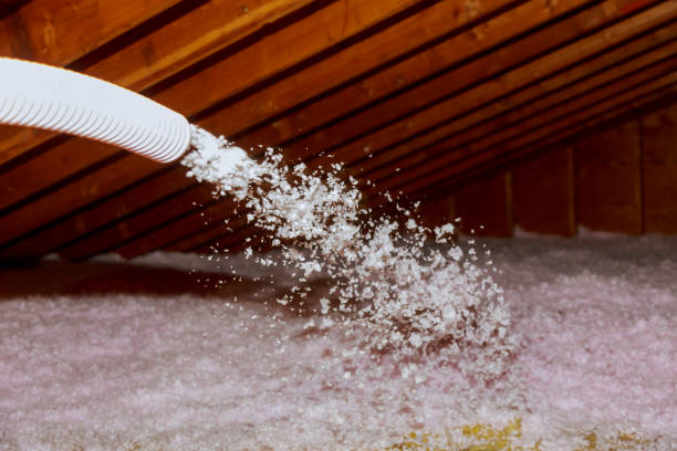 Best Insulation Replacement Services  in Lipatria, CA