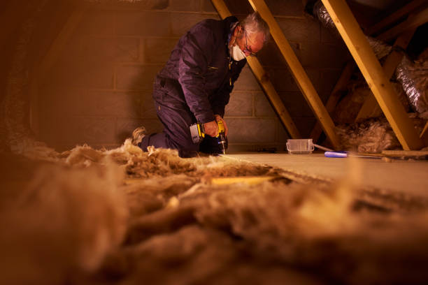 Best Home Insulation Services  in Lipatria, CA